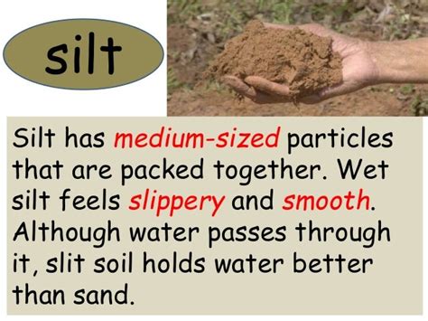 silt soil in tagalog|Soil Meaning .
